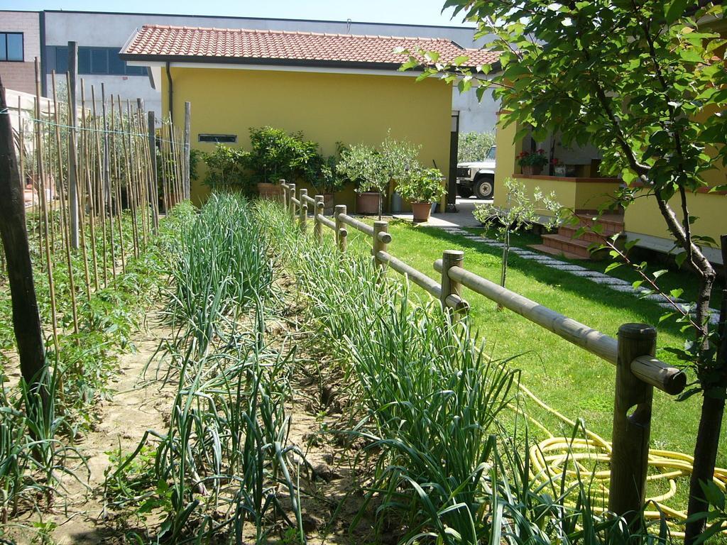 Nonna Alda Bed and Breakfast Viareggio Kamer foto