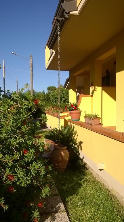 Nonna Alda Bed and Breakfast Viareggio Buitenkant foto