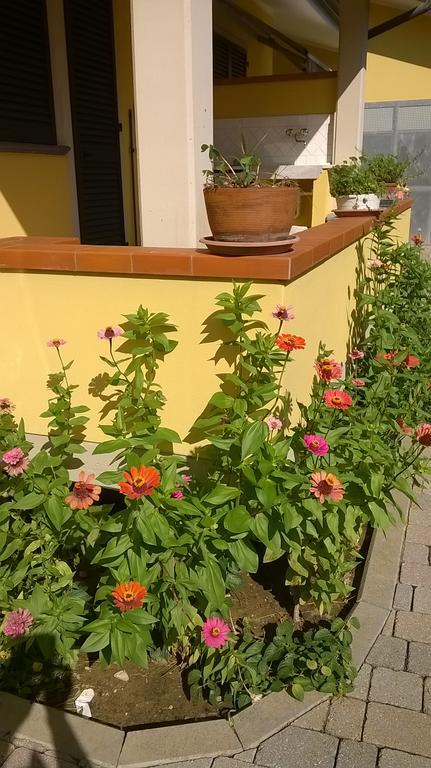 Nonna Alda Bed and Breakfast Viareggio Buitenkant foto