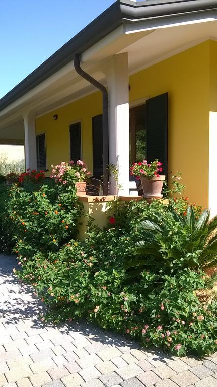 Nonna Alda Bed and Breakfast Viareggio Buitenkant foto
