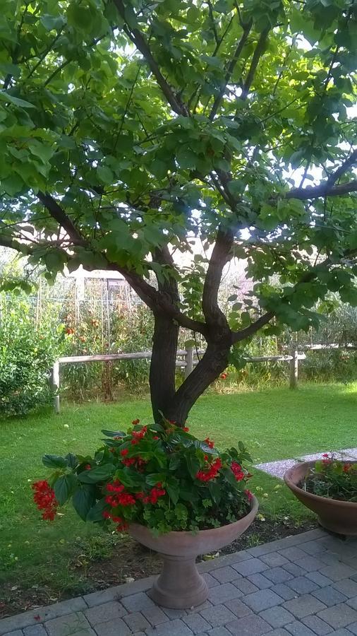 Nonna Alda Bed and Breakfast Viareggio Kamer foto